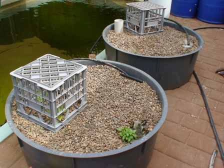 380ltrs Grow beds.jpg