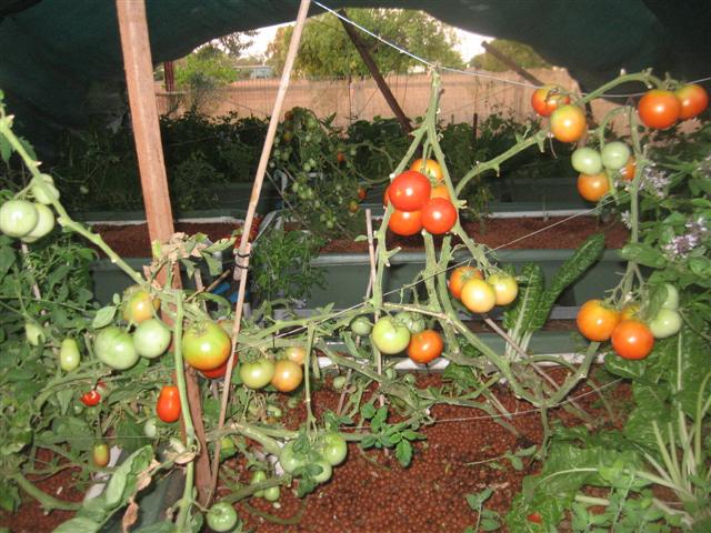 major clean out 001 (Small) (2).jpg