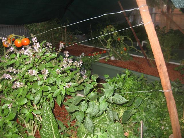 major clean out 002 (Small).jpg