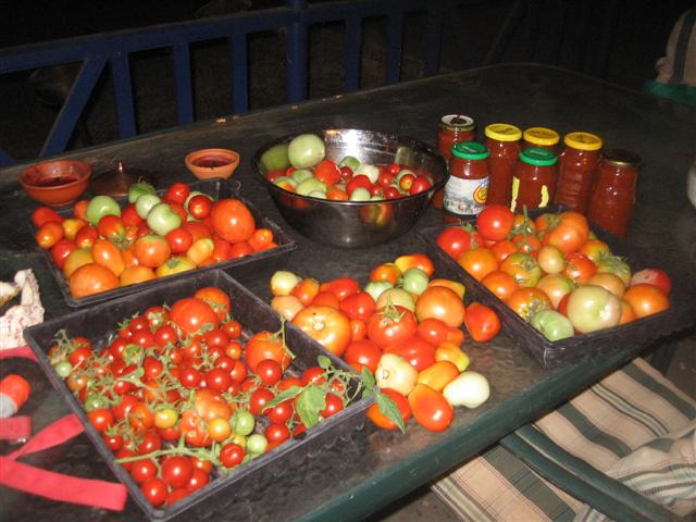 major clean out (Small).jpg