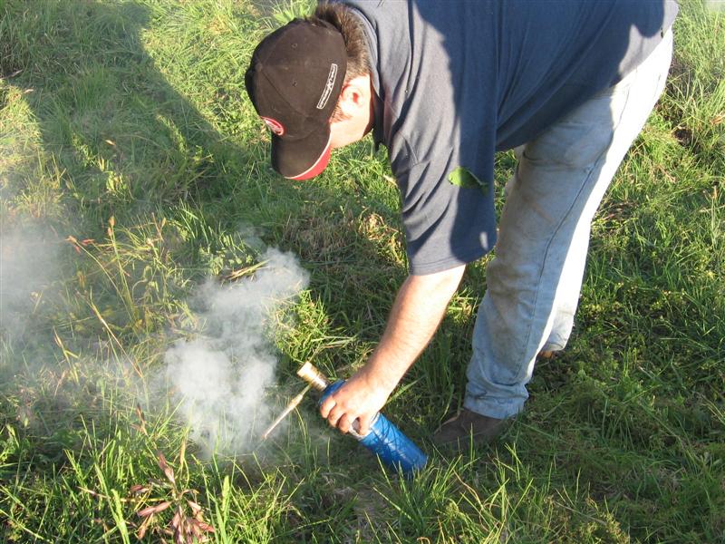 fire 010 (Medium).jpg