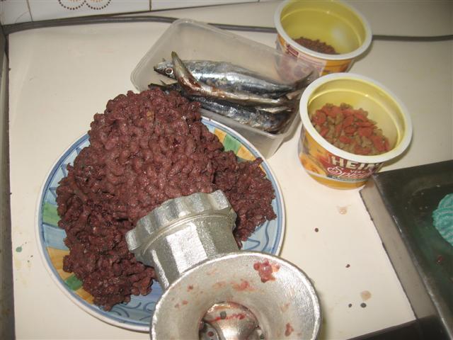 fish and food 002 (Small).jpg