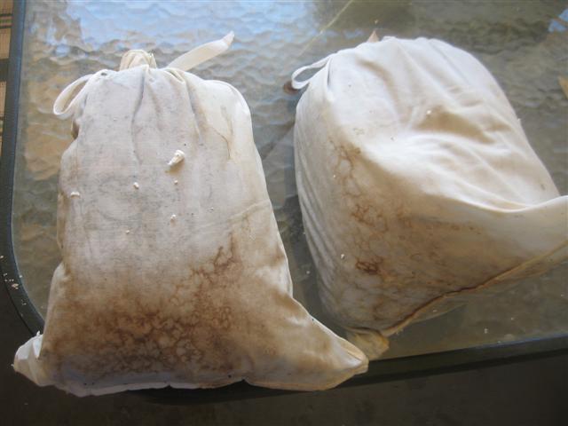 fish and food 003 (Small).jpg