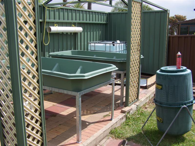 100_1503 (Medium).JPG