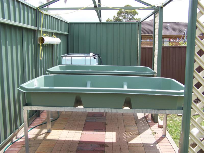 100_1505 (Medium).JPG