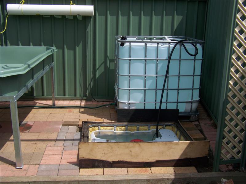 100_1506 (Medium).JPG