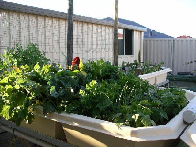 30-10-2008!!!!! 001.jpg