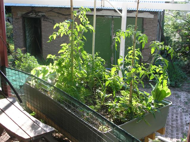 PB120014 (Small).JPG