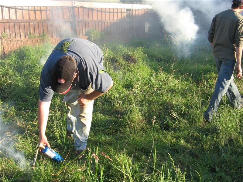 fire 011 (Medium).jpg