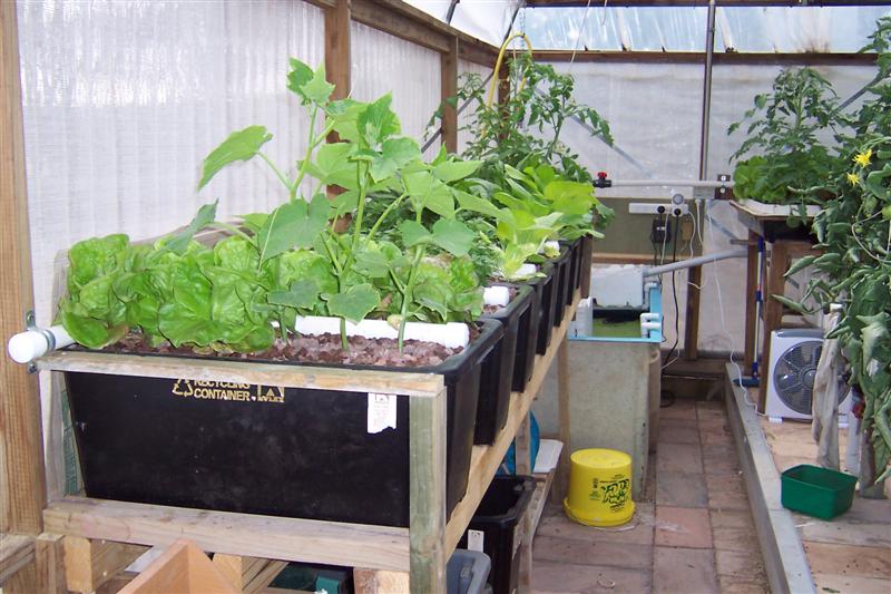 Grow beds from different angle.jpg