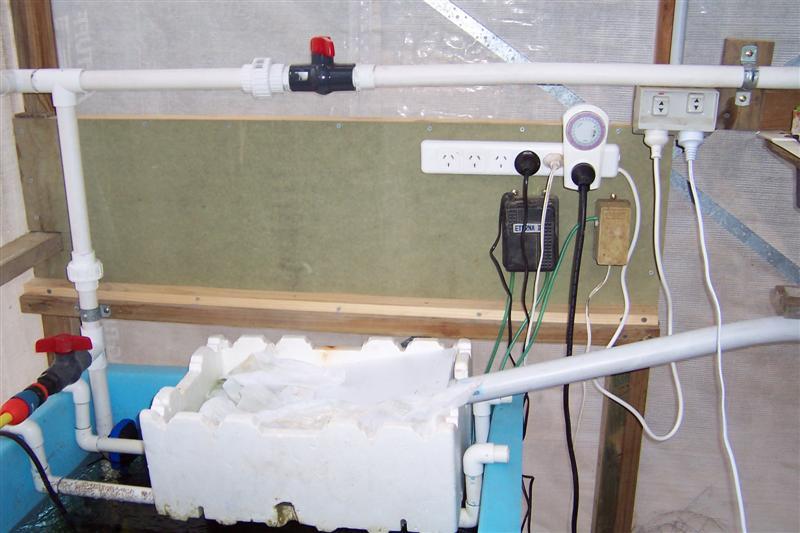 timer 30mins on 2 hrs off & air pumps. (Medium).jpg