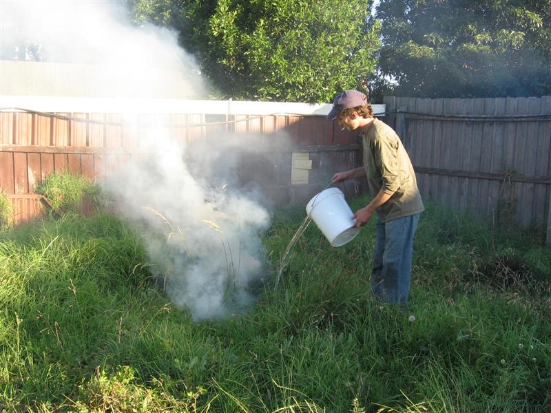 fire 012 (Medium).jpg