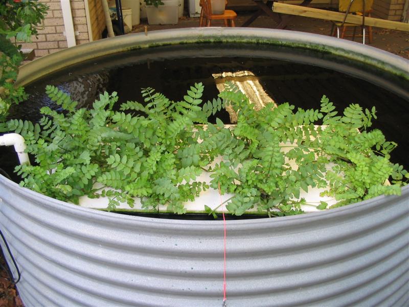 IMG_1957 (Medium).jpg