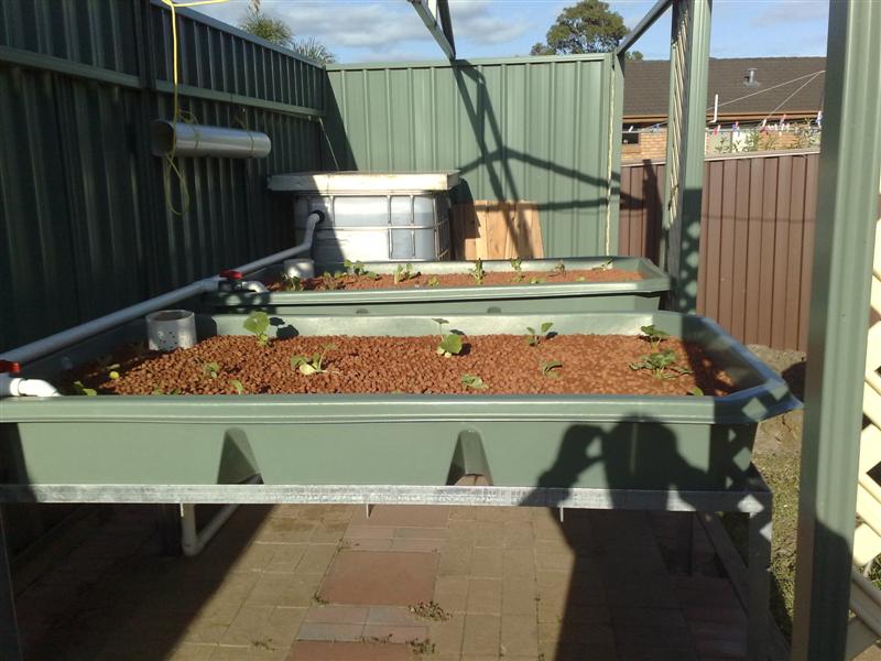 05112008207 (Medium).jpg