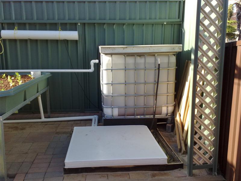 05112008205 (Medium).jpg