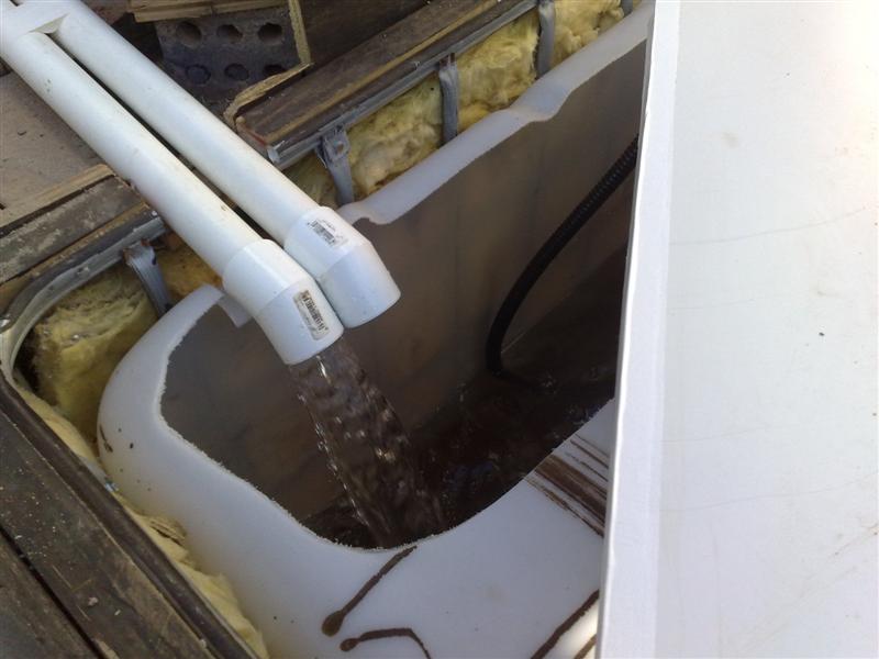 05112008210 (Medium).jpg