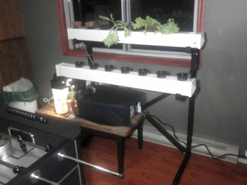 Version 2.0 resizeR.jpg