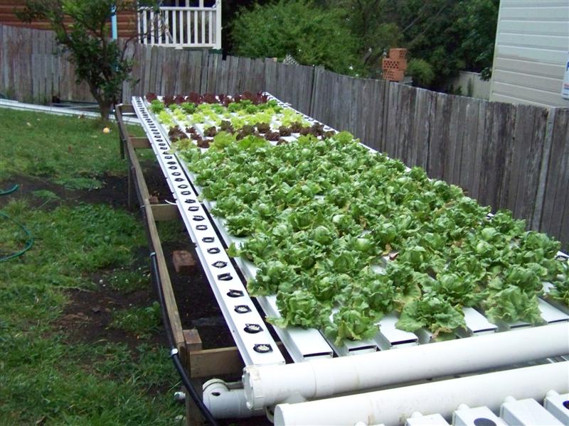 100_1848 (Medium).JPG