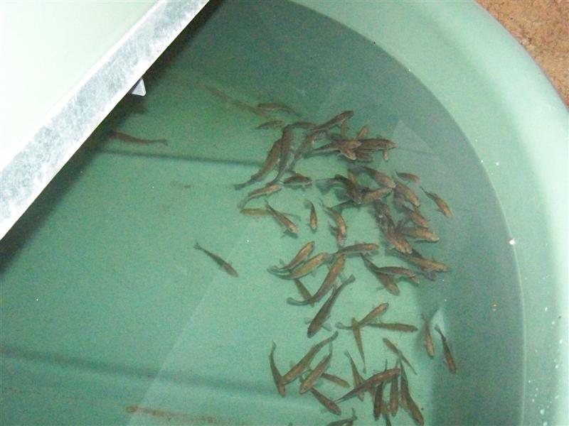 100_1838 (Medium).JPG