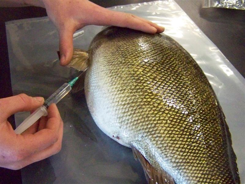 100_1734 (Medium).JPG