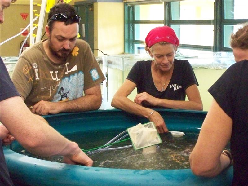 100_1750 (Medium).JPG