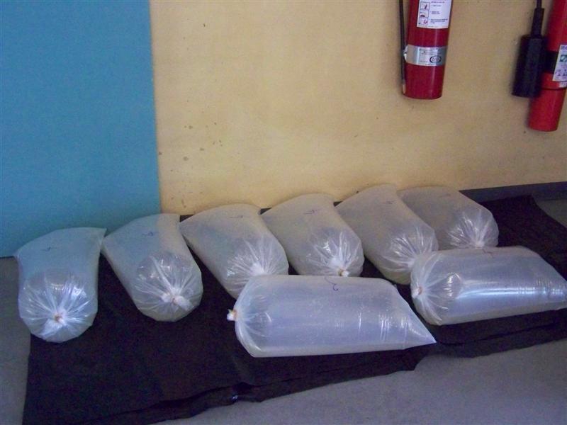 100_1760 (Medium).JPG