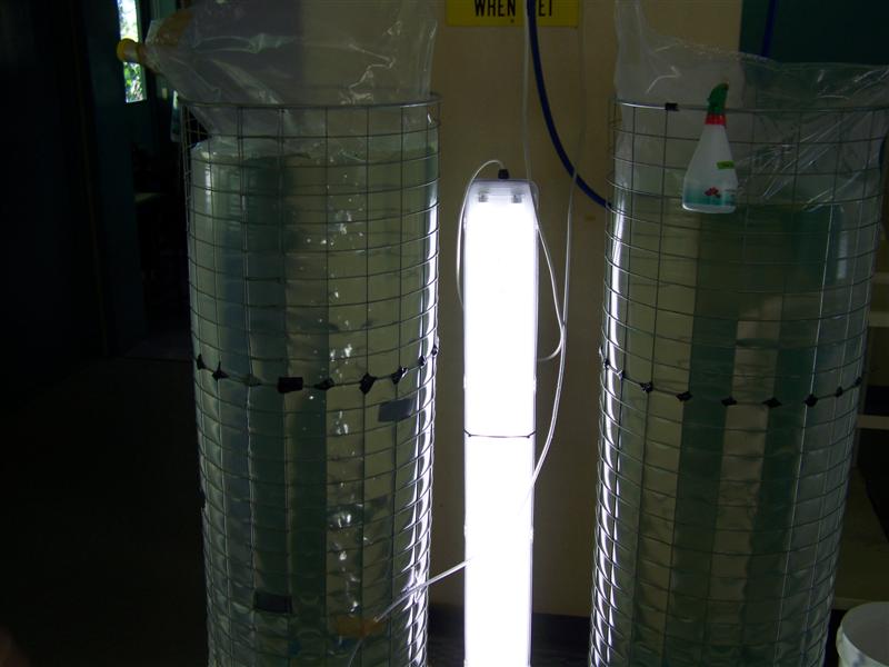 100_1562 (Medium).JPG