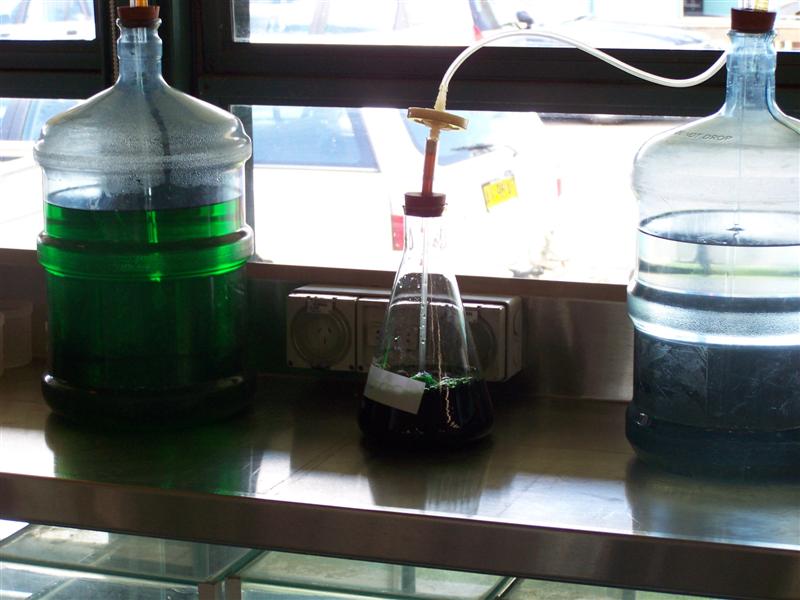 100_1569 (Medium).JPG