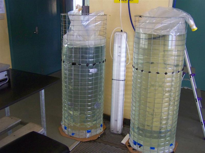 100_1527 (Medium).JPG