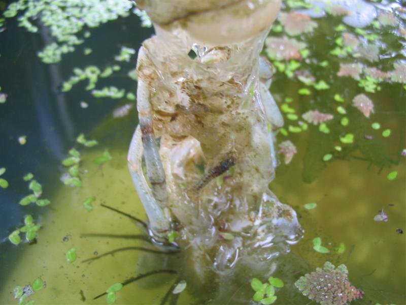 IMG_1977 (Medium).jpg