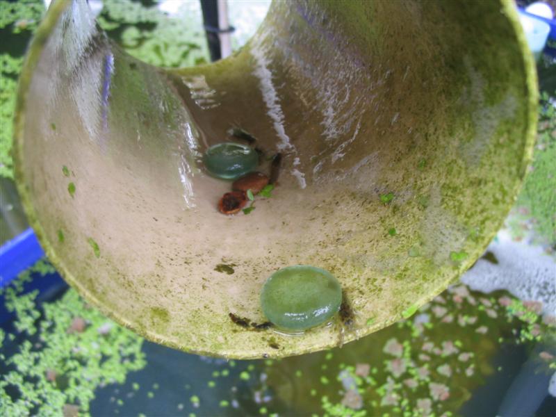 IMG_1972 (Medium).jpg