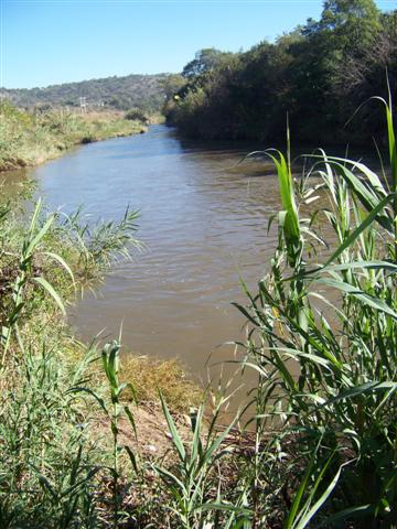 100_0972 (Small).JPG