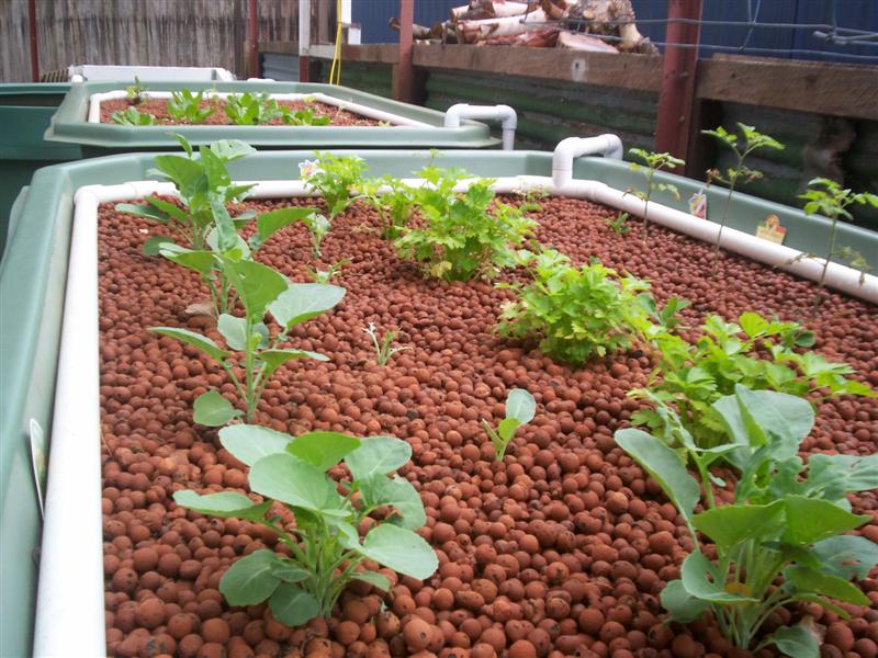 100_2025 (Medium).jpg