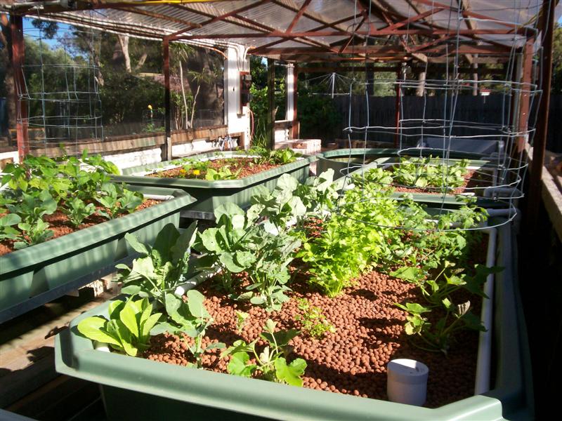 100_2030 (Medium).jpg