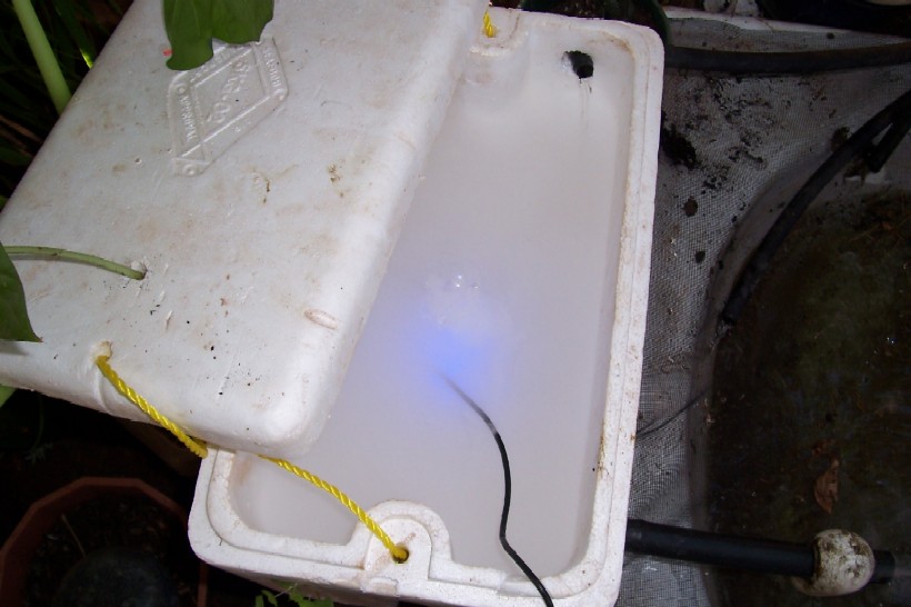 aquaponics 066.jpg