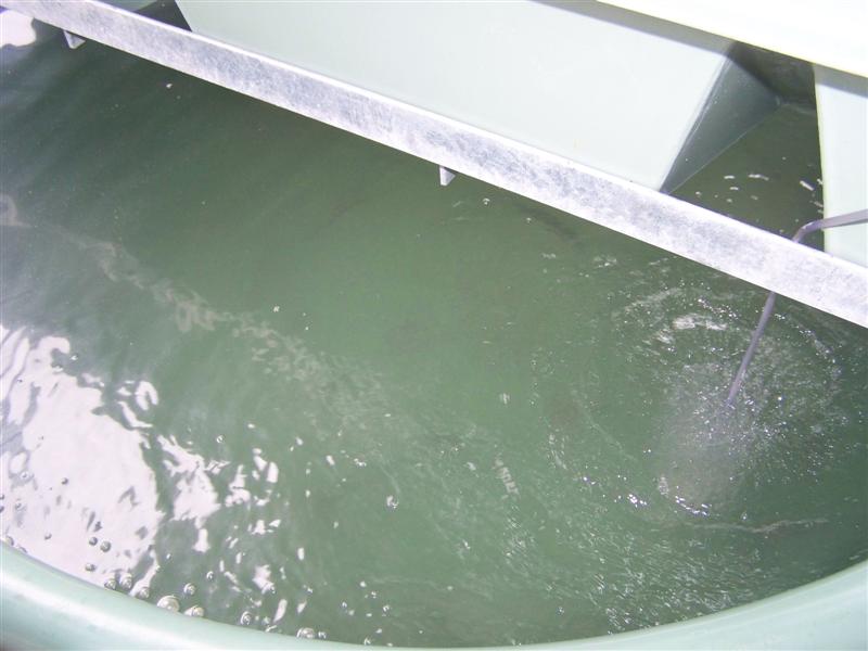 100_1868 (Medium).JPG