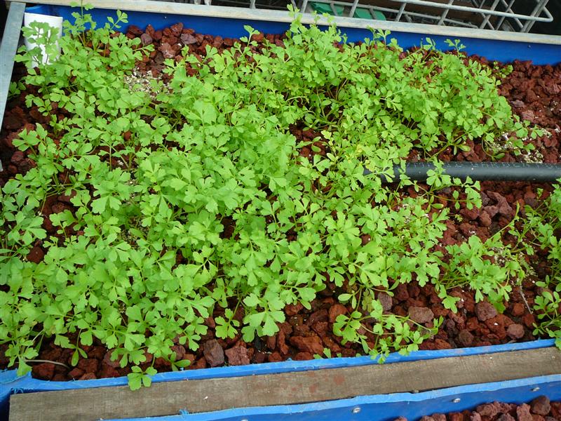 18'11'08 017 (Medium).jpg