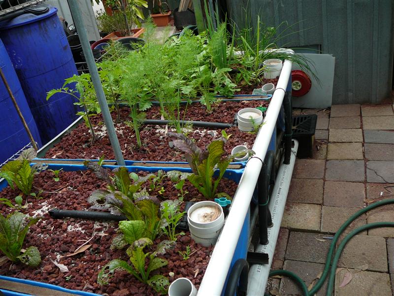 18'11'08 016 (Medium).jpg