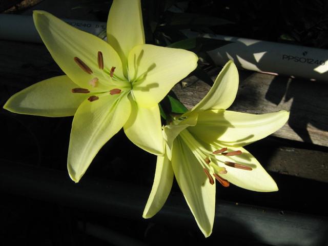 IMG_2742 (Small).jpg