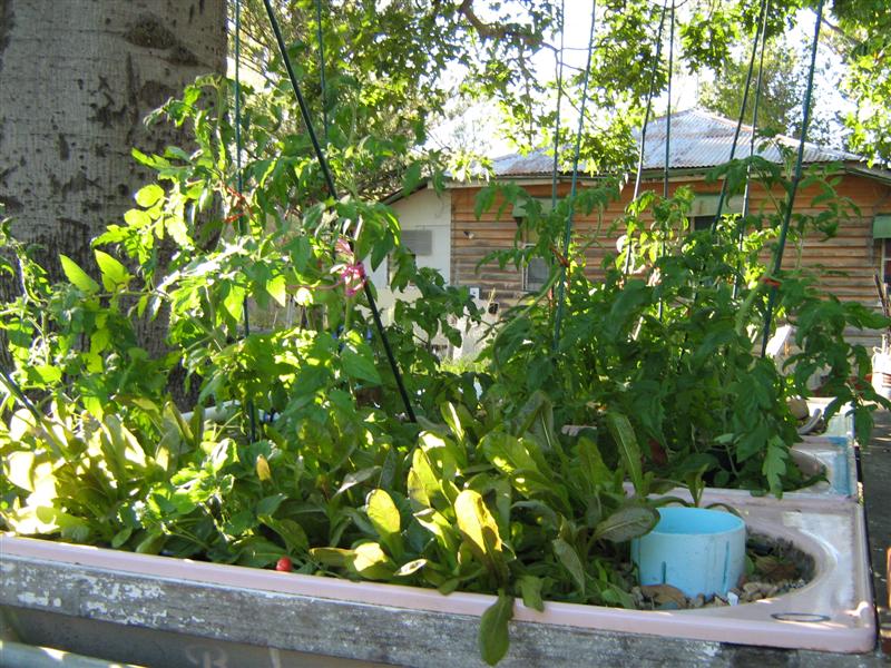 IMG_2743 (Medium).jpg