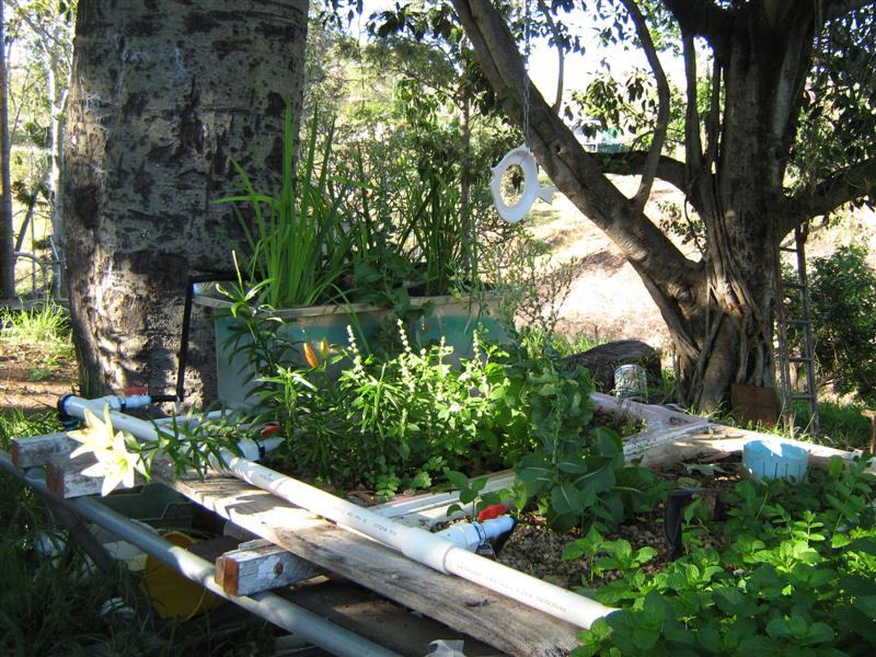 IMG_2744 (Medium).jpg