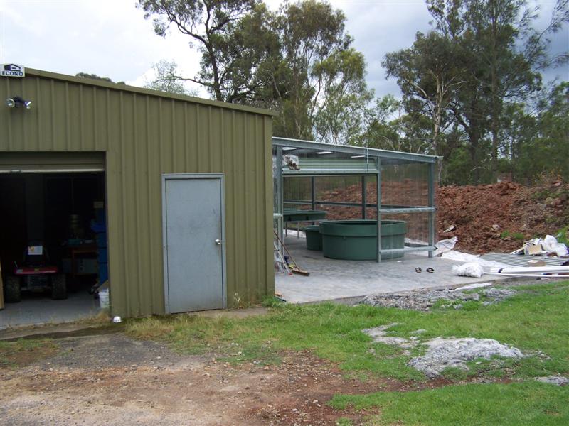 100_1873 (Medium).JPG