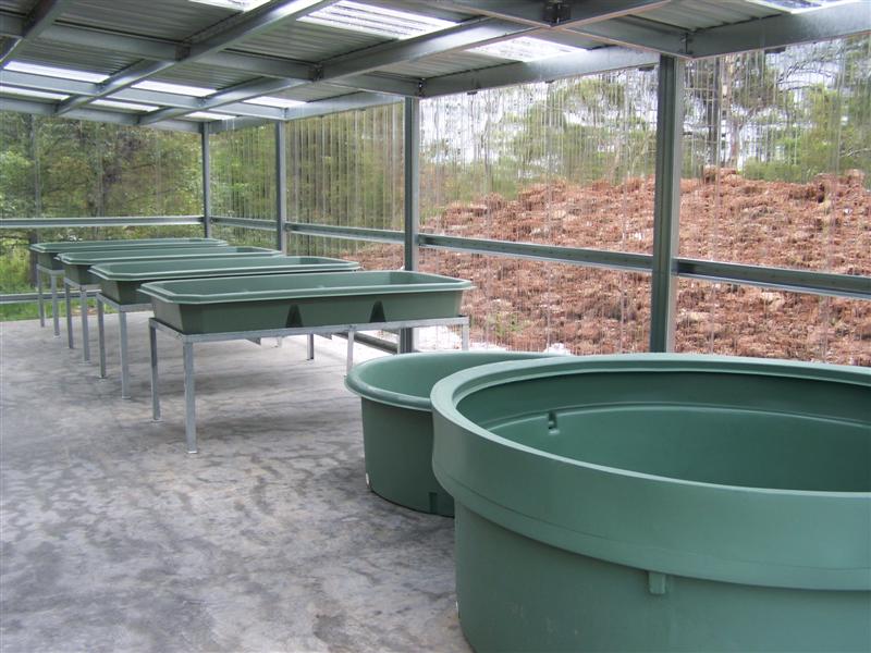 100_1875 (Medium).JPG