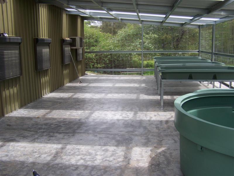 100_1882 (Medium).JPG