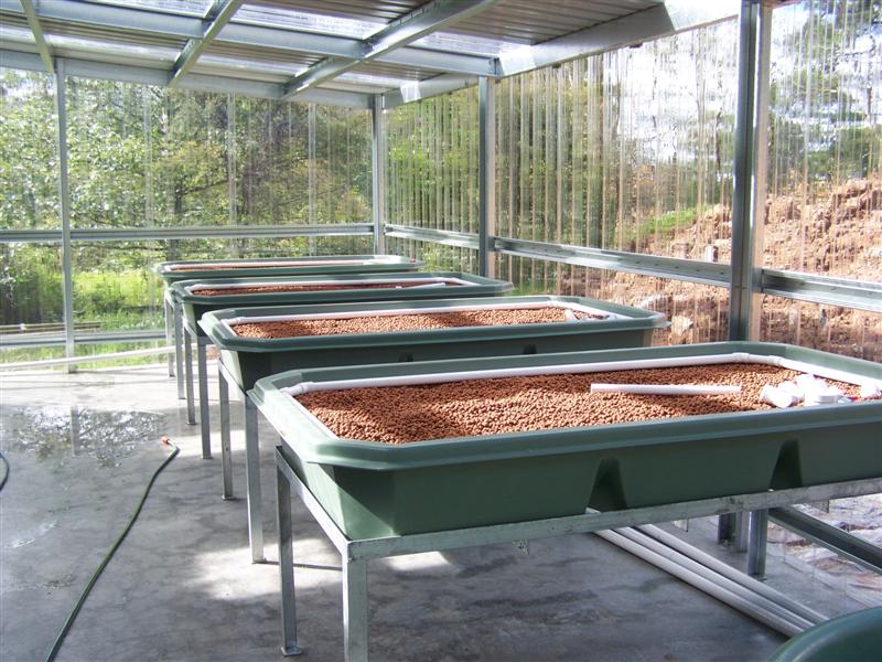 100_1883 (Medium).JPG