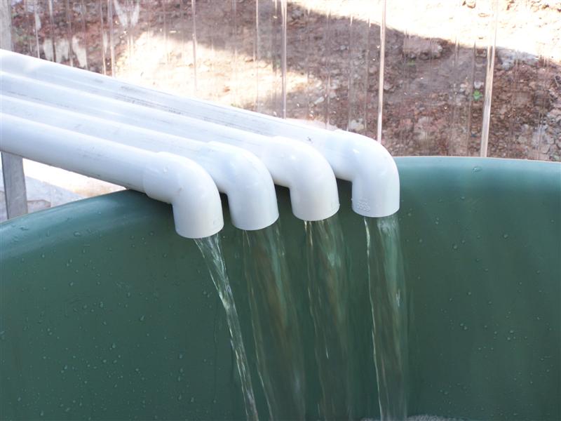 100_1906 (Medium).JPG