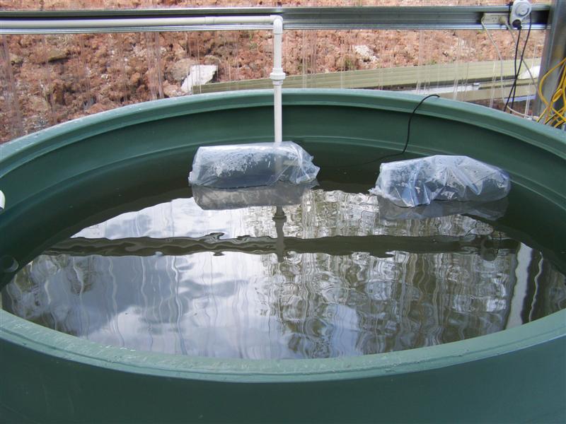 100_1907 (Medium).JPG