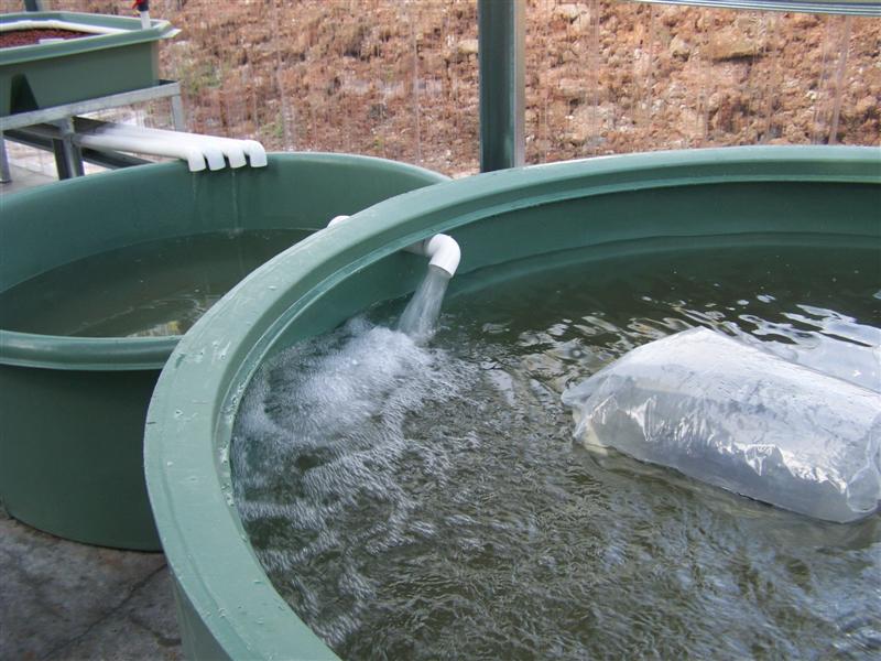 100_1909 (Medium).JPG