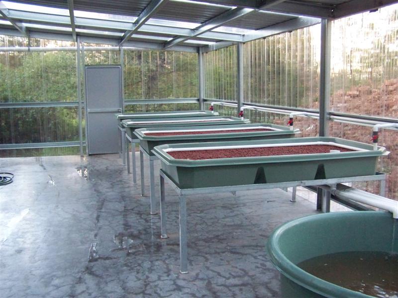 100_1913 (Medium).JPG