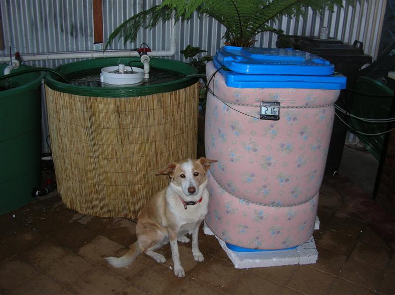 ap inetrmidiate heater tank.JPG